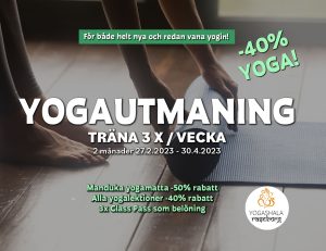 Yogautmaning - 400 Yoga Credits - Special Class Pass